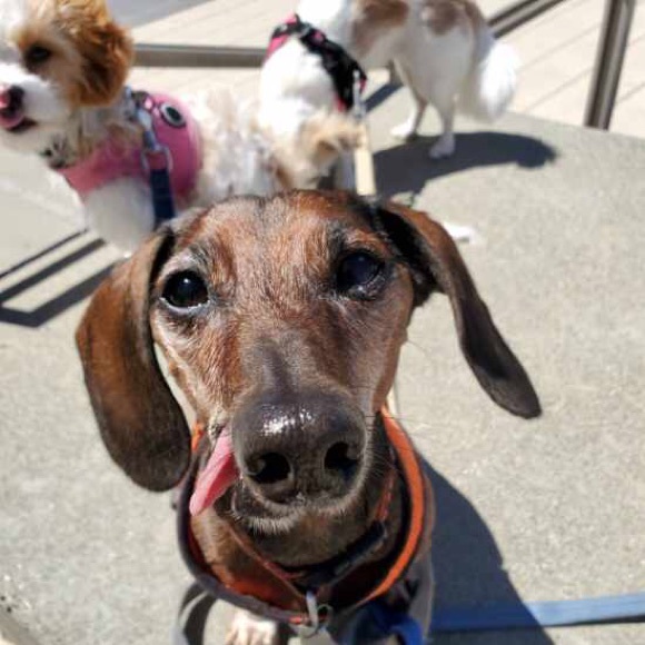 Meet your Posher, Allison - Picture 8 of 8